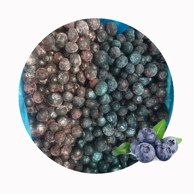 frozen blueberries for bakery dairy and beverage products
