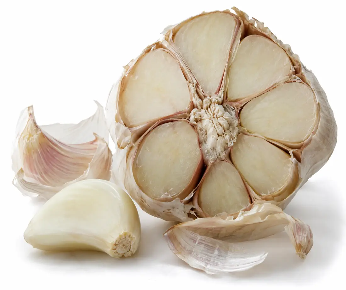 Cut garlic bulb exposing clove flesh and separate wrapper