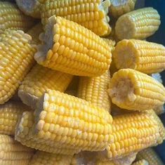 Ferskur frosinn sæta maís