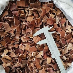 Rifinn svartur sveppur